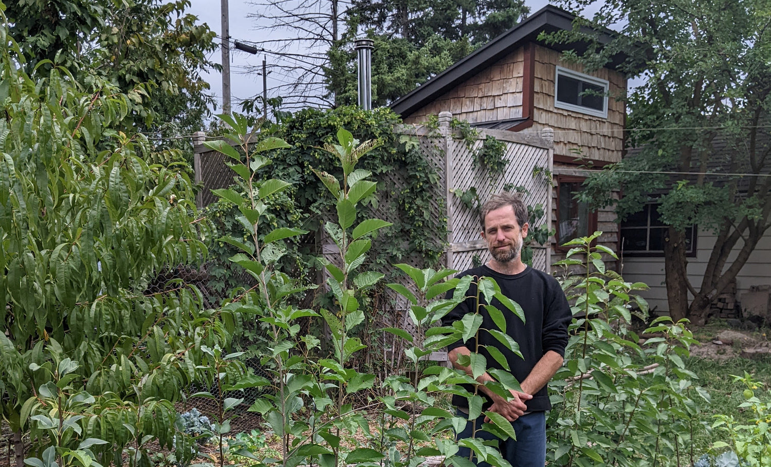 Matt Soltys, The Urban Orchardist, in his diverse urban food forest. 