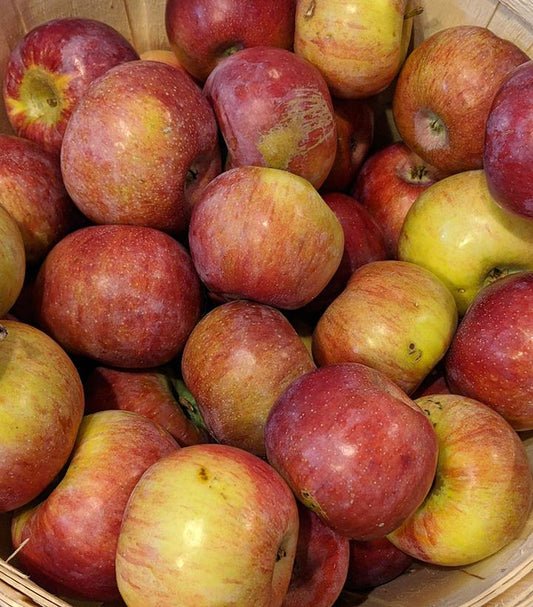 Cortland apple