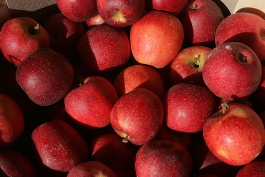 Gala apple