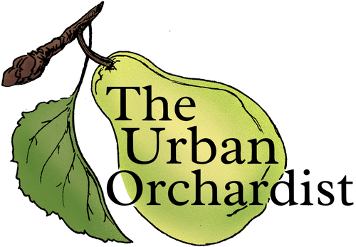 The Urban Orchardist