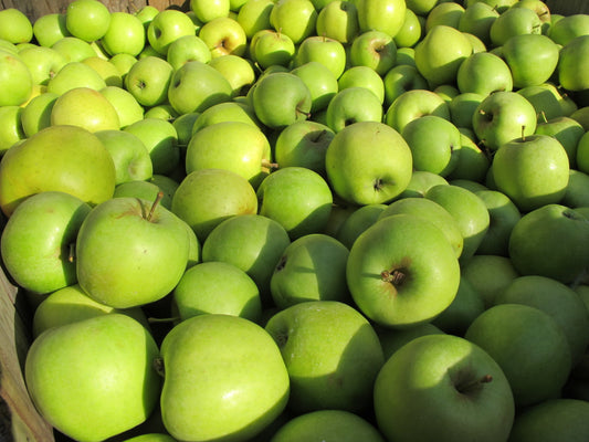Mutsu apple