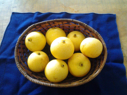 Yakumo, an Asian pear with flavour reminiscent of honeydew melon.